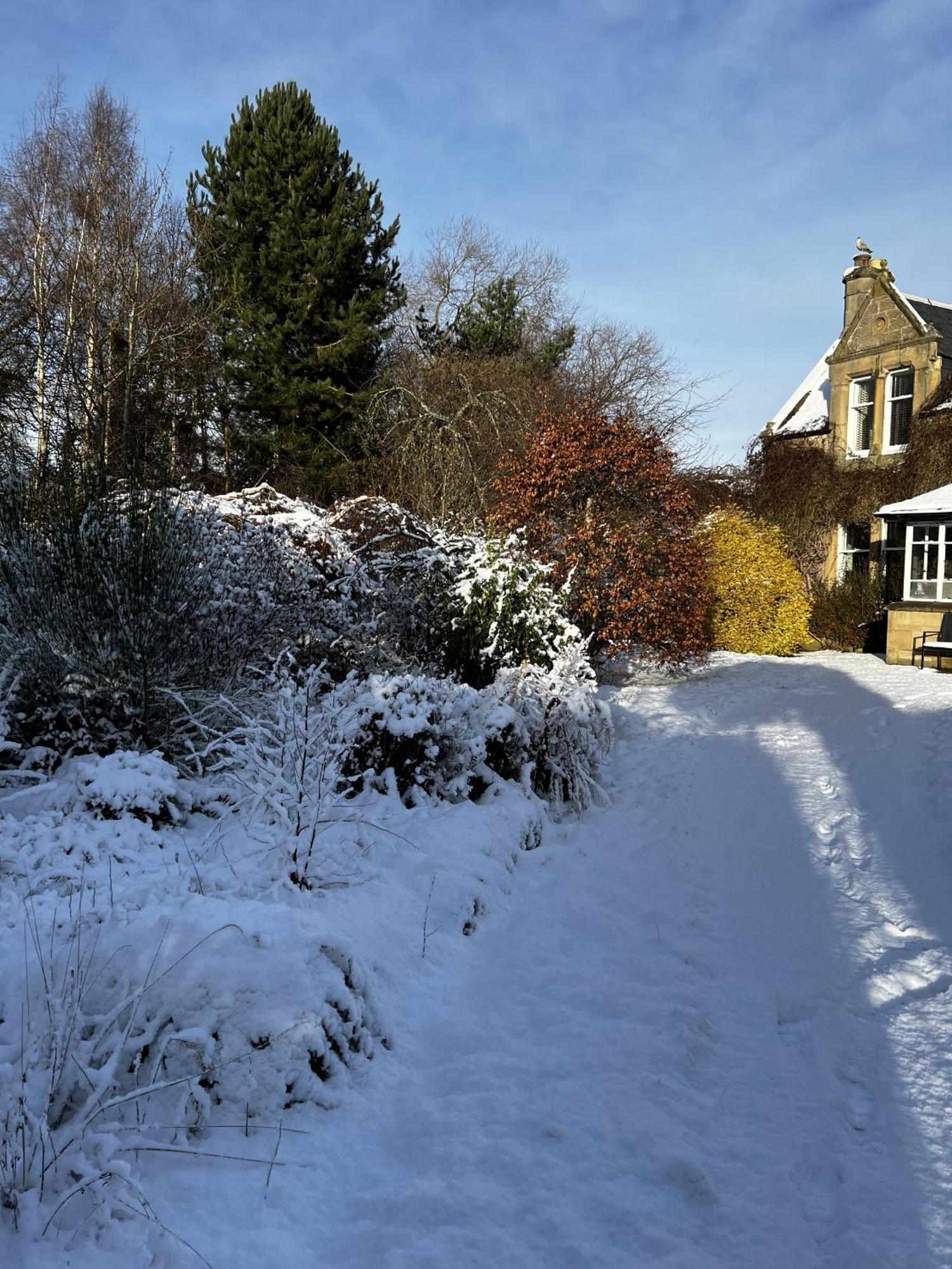 St Duthus Villa Guesthouse Tain Eksteriør billede