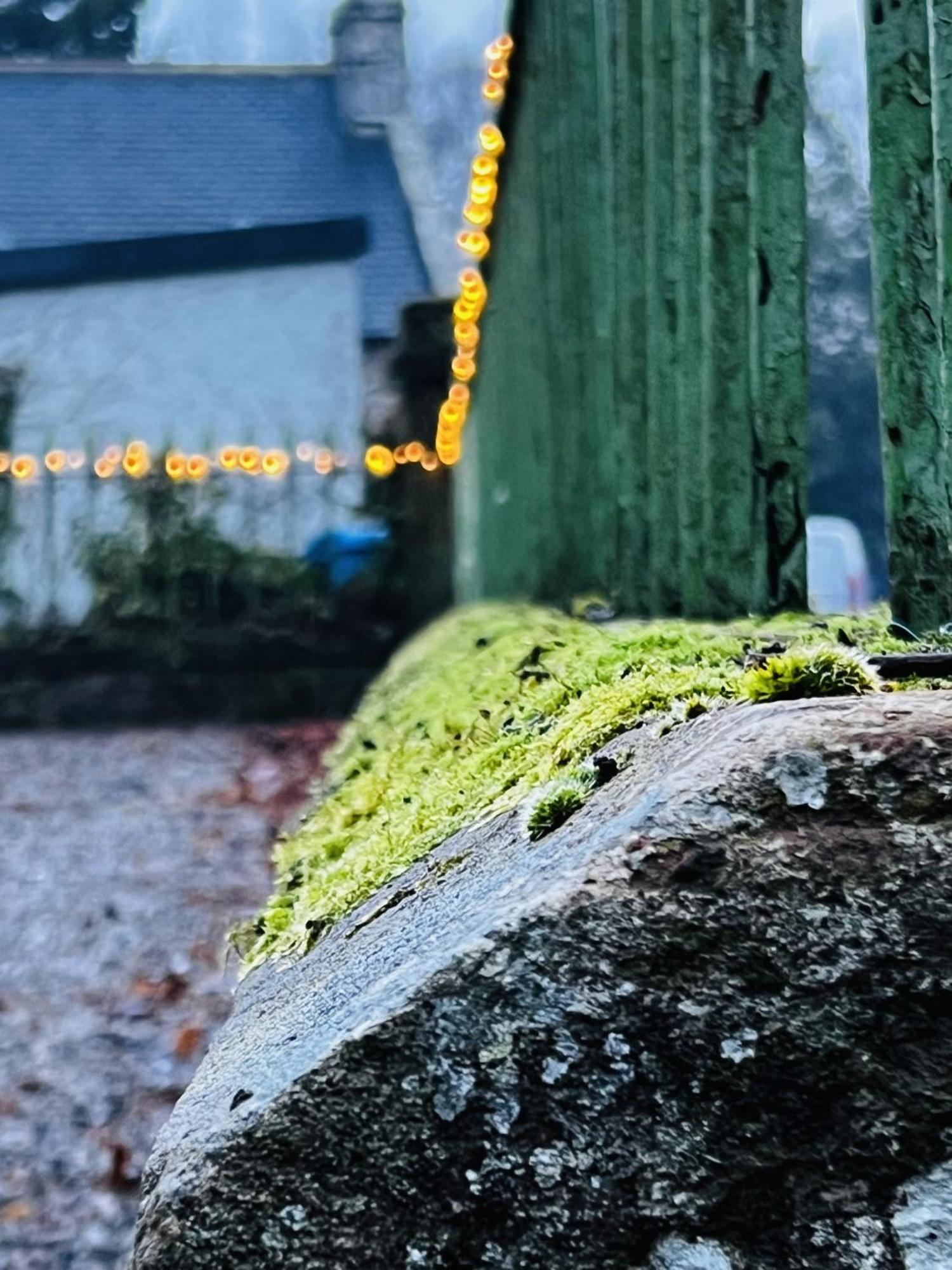 St Duthus Villa Guesthouse Tain Eksteriør billede